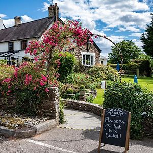 The Greyhound Inn And Hotel